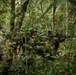 2/2 Marines Conduct Jungle Training in Brazil