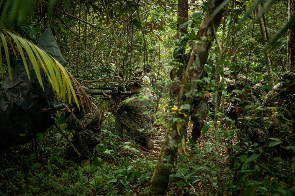 2/2 Marines Conduct Jungle Training in Brazil