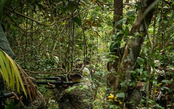 2/2 Marines Conduct Jungle Training in Brazil