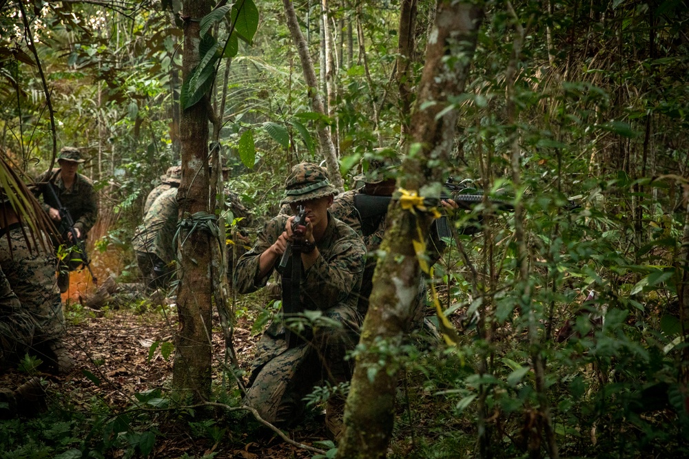 2/2 Marines Conduct Jungle Training in Brazil