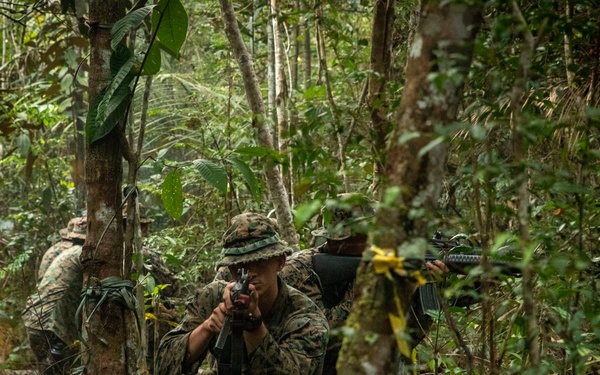 2/2 Marines Conduct Jungle Training in Brazil