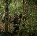 2/2 Marines Conduct Jungle Training in Brazil