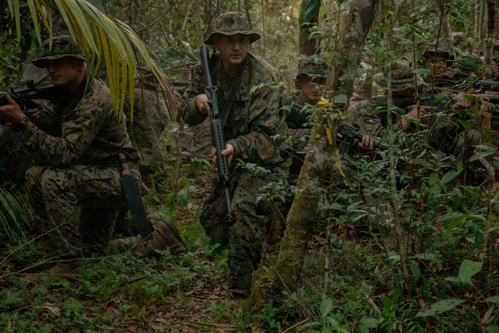 2/2 Marines Conduct Jungle Training in Brazil