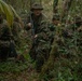 2/2 Marines Conduct Jungle Training in Brazil