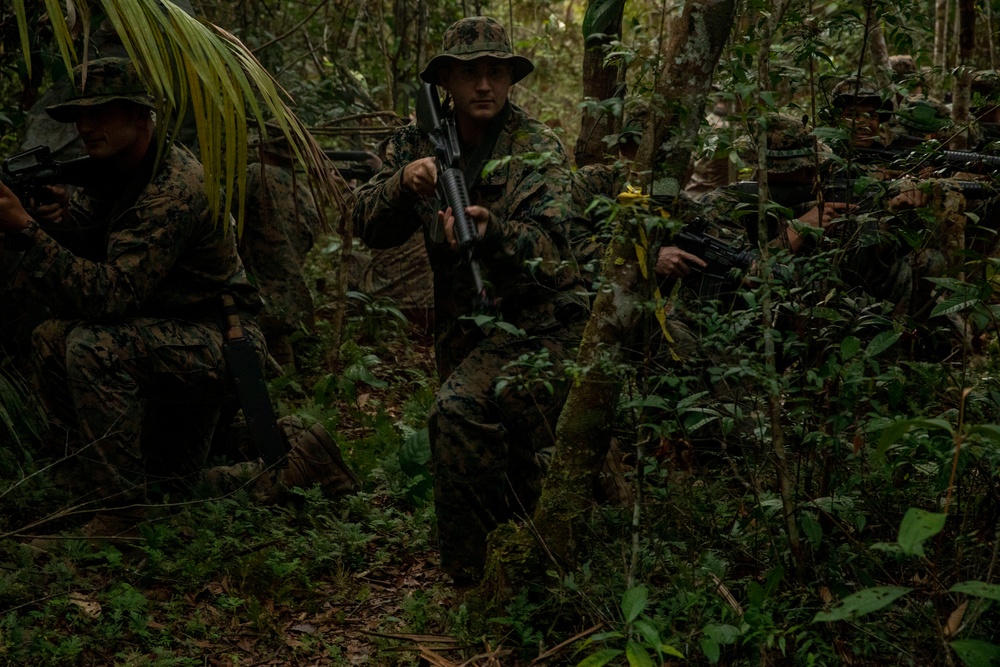 2/2 Marines Conduct Jungle Training in Brazil