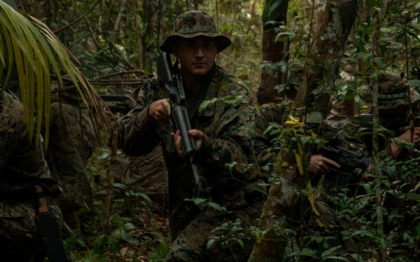 2/2 Marines Conduct Jungle Training in Brazil