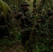 2/2 Marines Conduct Jungle Training in Brazil