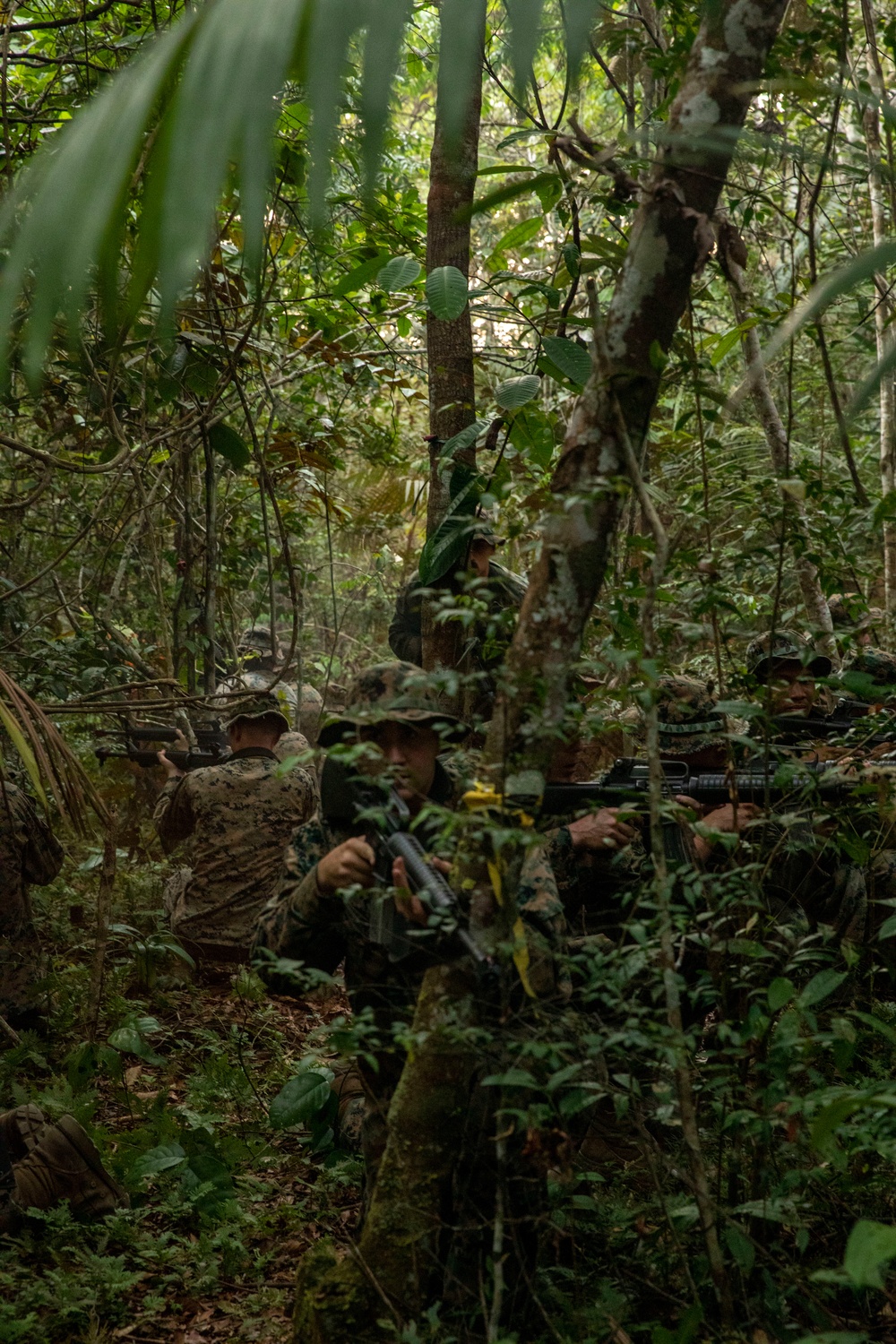 2/2 Marines Conduct Jungle Training in Brazil