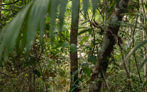 2/2 Marines Conduct Jungle Training in Brazil