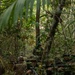 2/2 Marines Conduct Jungle Training in Brazil