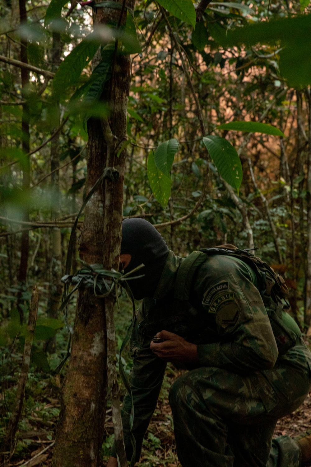 2/2 Marines Conduct Jungle Training in Brazil