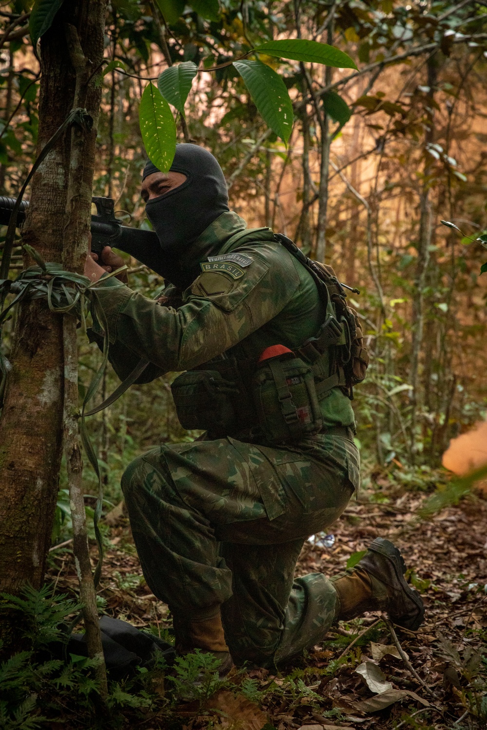 2/2 Marines Conduct Jungle Training in Brazil