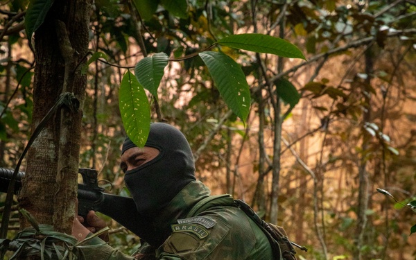 2/2 Marines Conduct Jungle Training in Brazil
