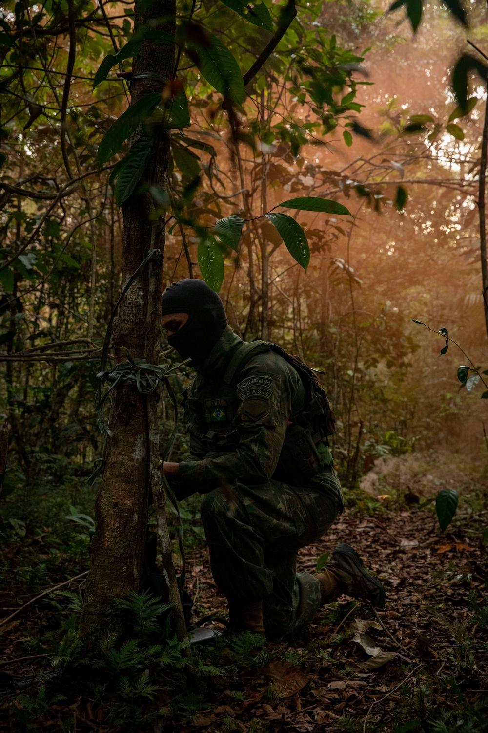 2/2 Marines Conduct Jungle Training in Brazil