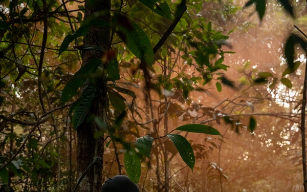 2/2 Marines Conduct Jungle Training in Brazil