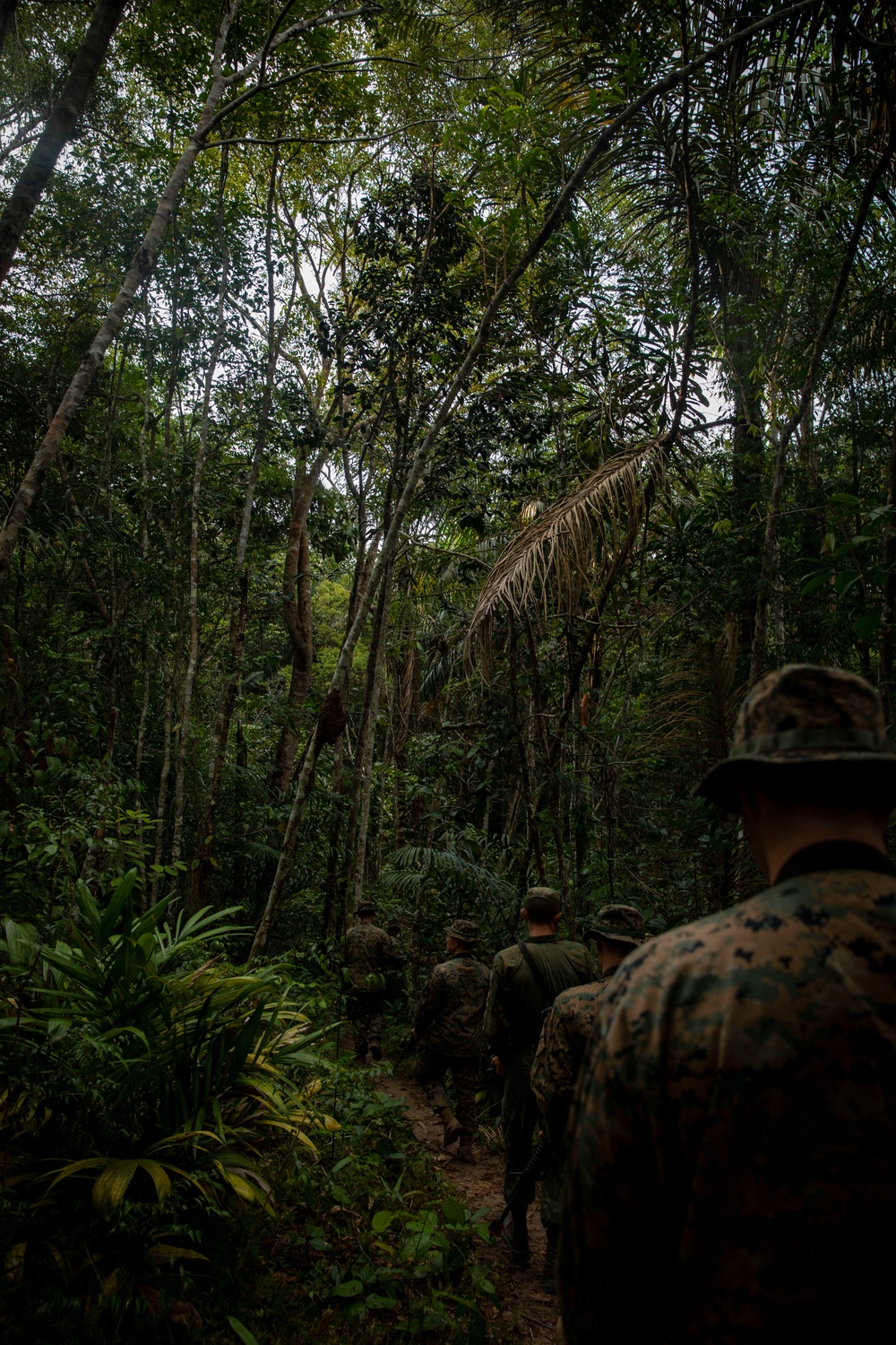 2/2 Marines Conduct Jungle Training in Brazil