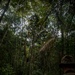 2/2 Marines Conduct Jungle Training in Brazil