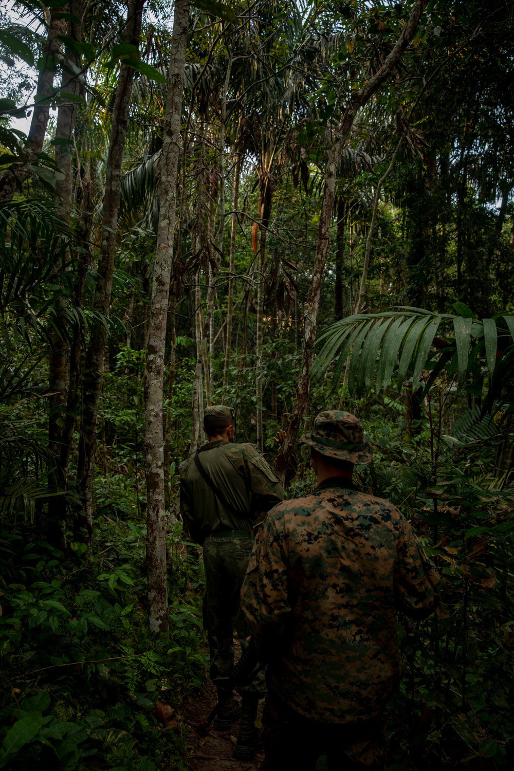 2/2 Marines Conduct Jungle Training in Brazil