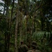 2/2 Marines Conduct Jungle Training in Brazil