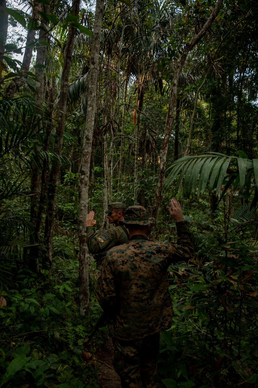 2/2 Marines Conduct Jungle Training in Brazil