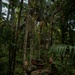 2/2 Marines Conduct Jungle Training in Brazil