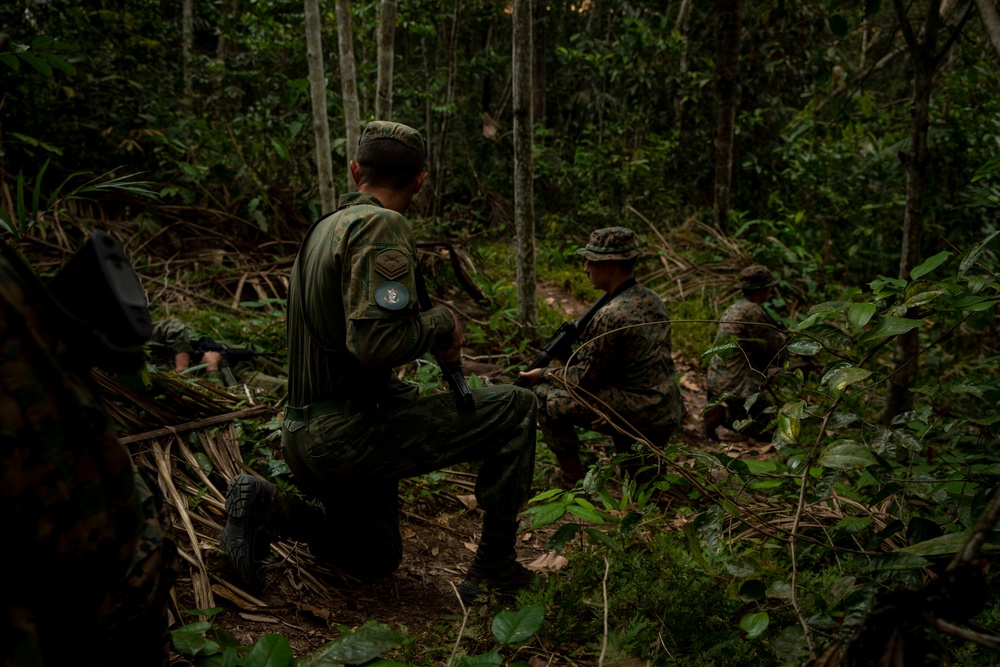 2/2 Marines Conduct Jungle Training in Brazil