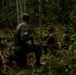 2/2 Marines Conduct Jungle Training in Brazil