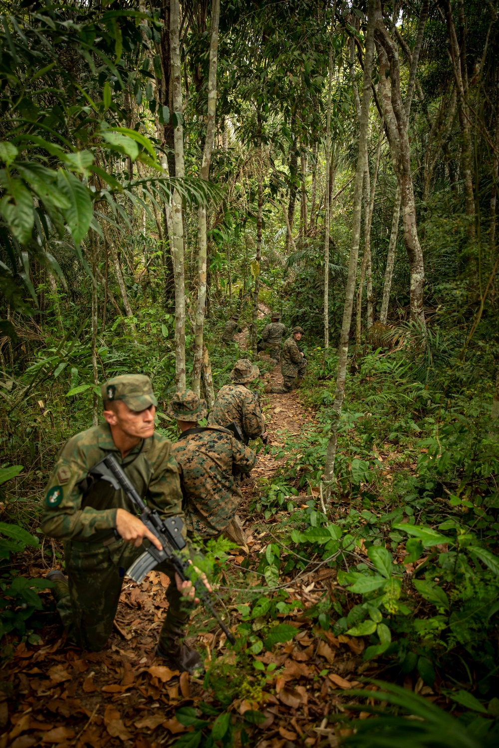 2/2 Marines Conduct Jungle Training in Brazil