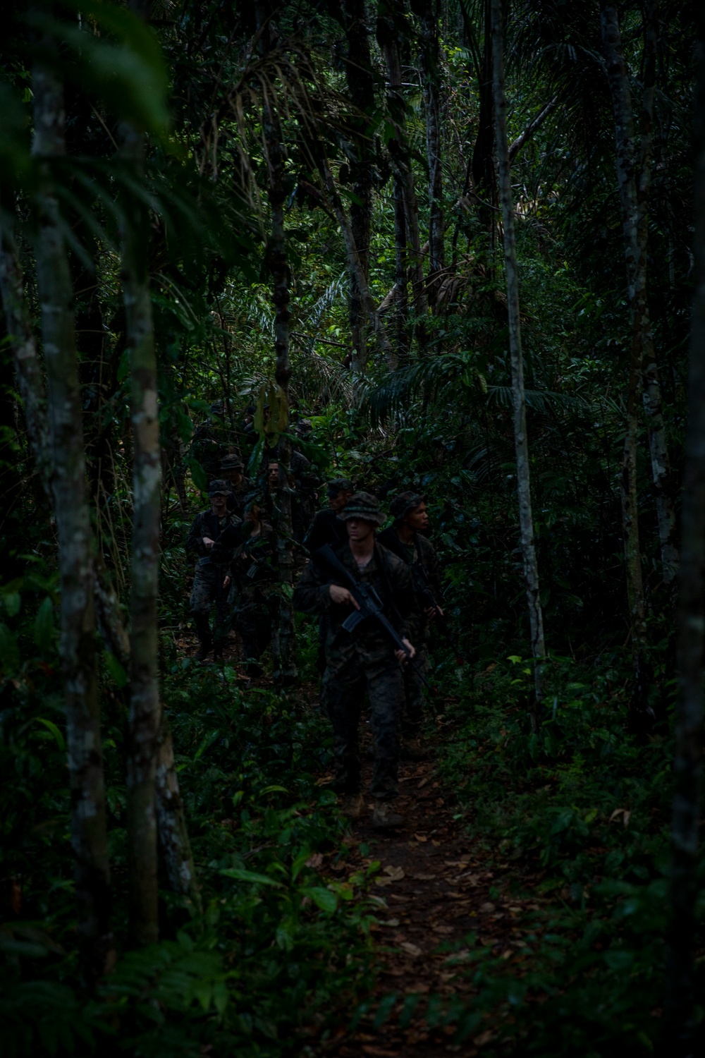 2/2 Marines Conduct Jungle Training in Brazil