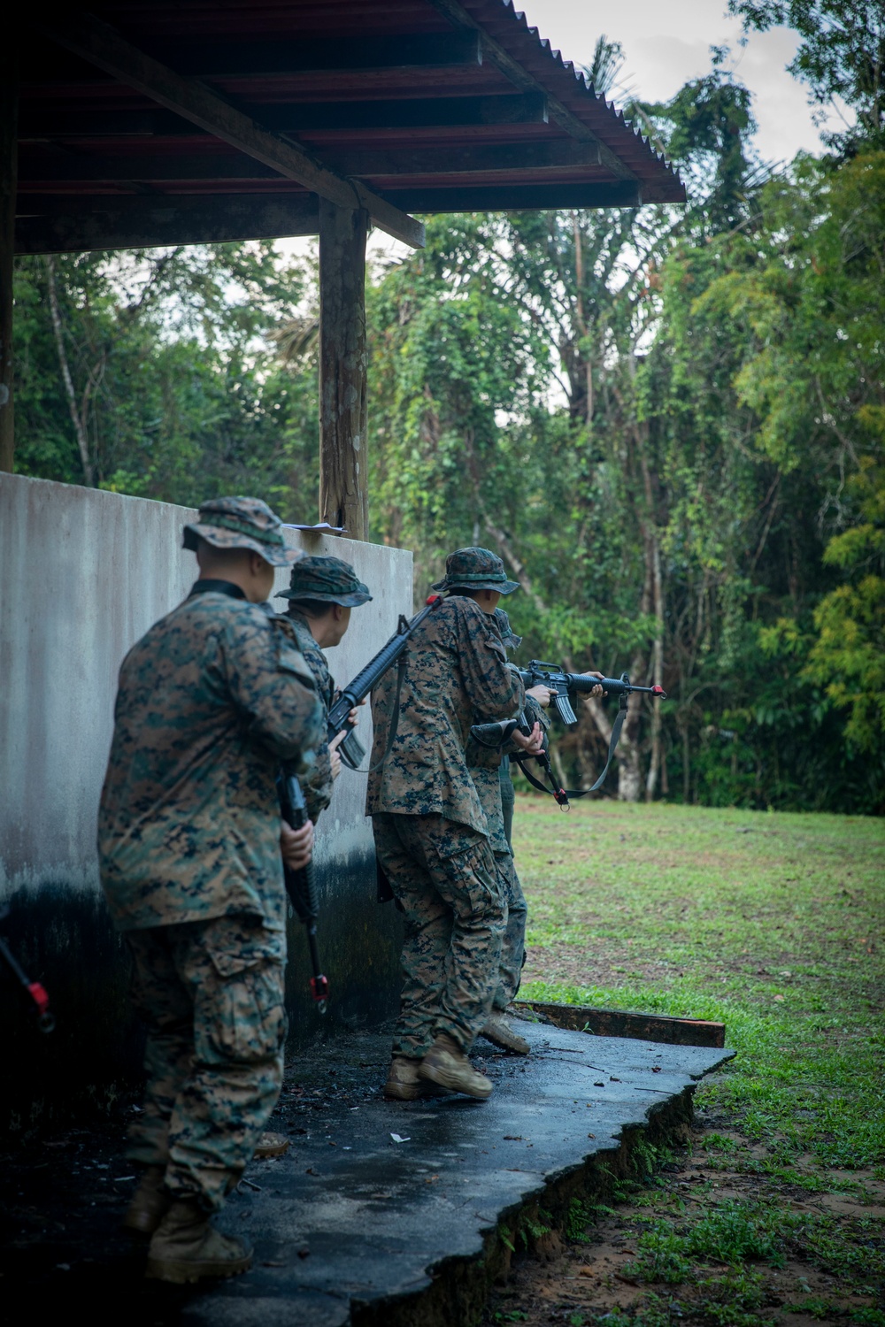 2/2 Marines Conduct Jungle Training in Brazil