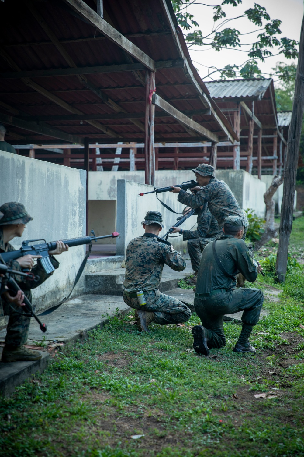 2/2 Marines Conduct Jungle Training in Brazil