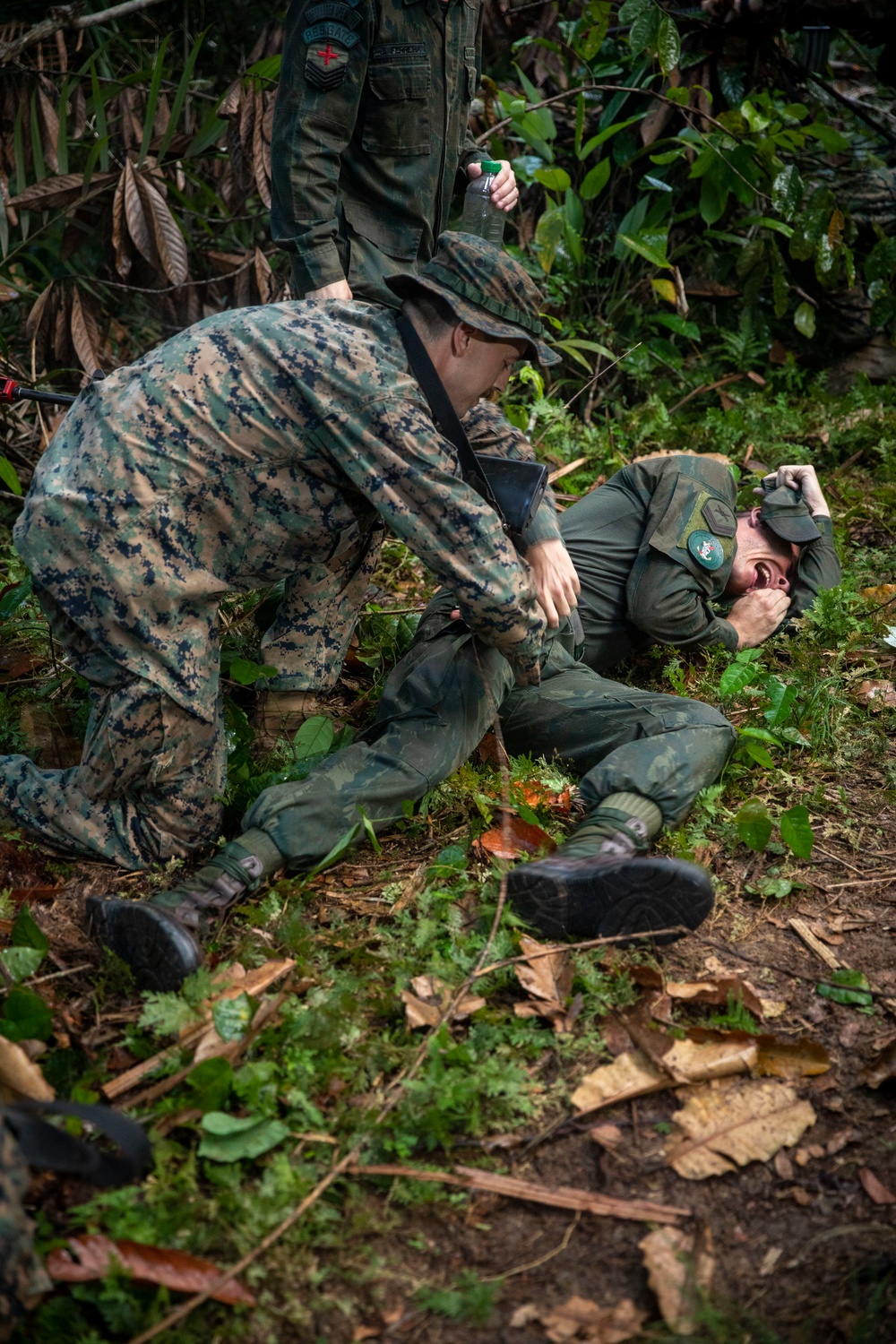 2/2 Marines Conduct Jungle Training in Brazil