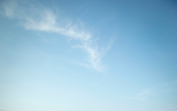 2/2 Marines Conduct Jungle Training in Brazil
