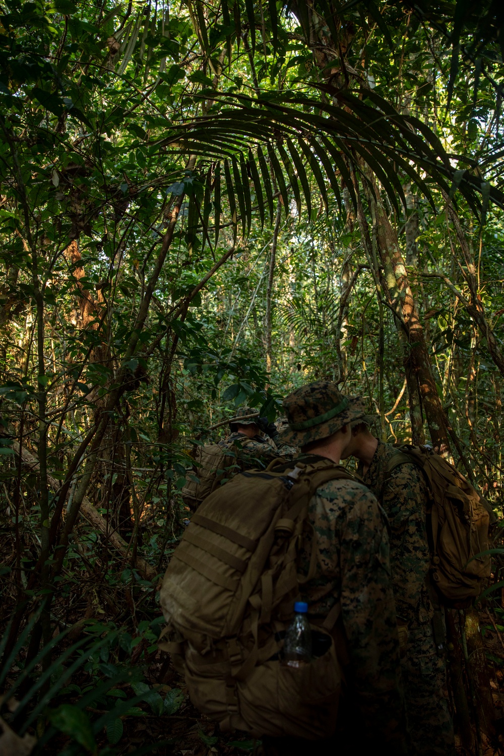 2/2 Marines Conduct Jungle Training in Brazil