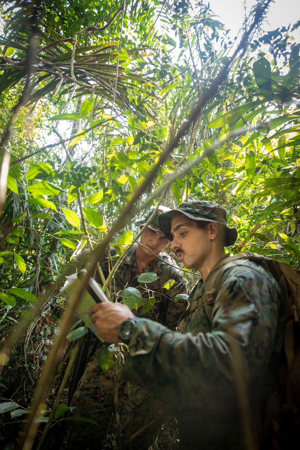 2/2 Marines Conduct Jungle Training in Brazil