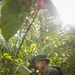 2/2 Marines Conduct Jungle Training in Brazil