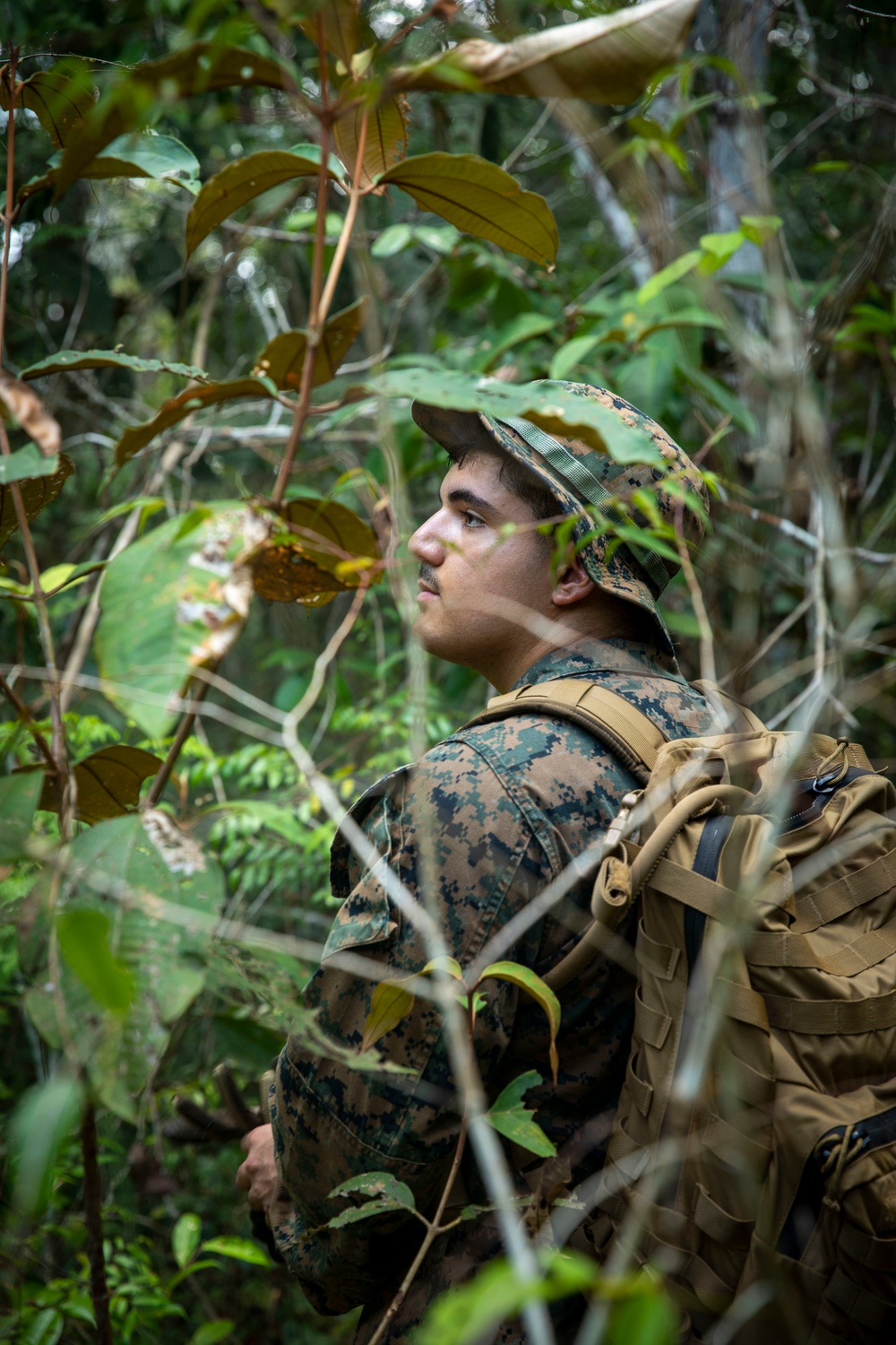 2/2 Marines Conduct Jungle Training in Brazil