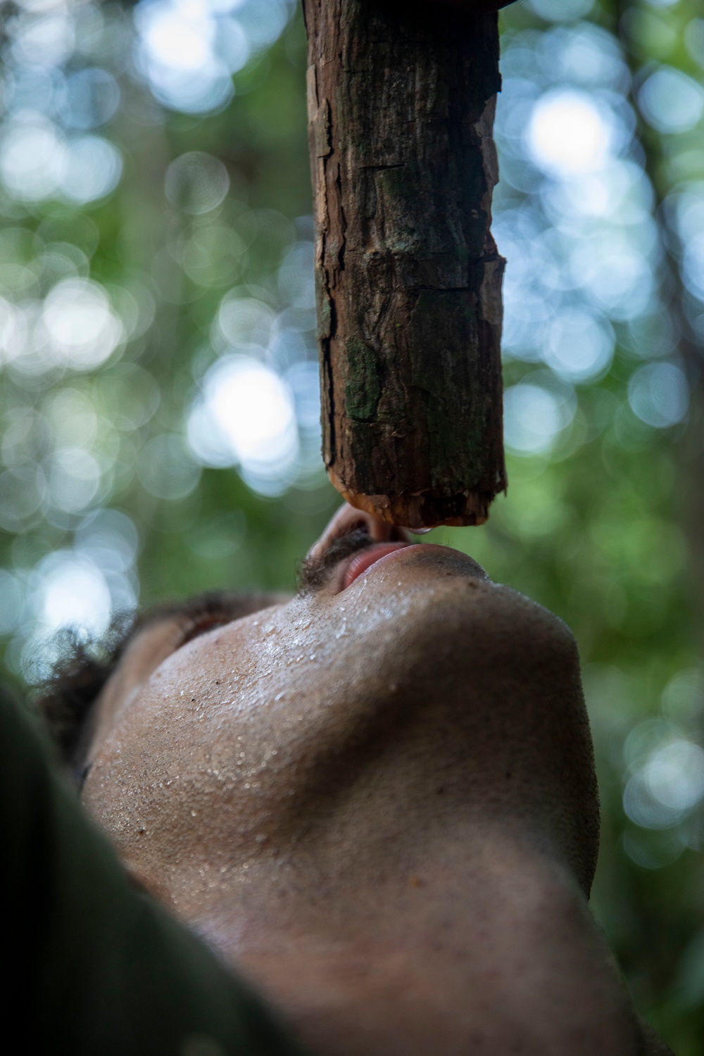 2/2 Marines Conduct Jungle Training in Brazil