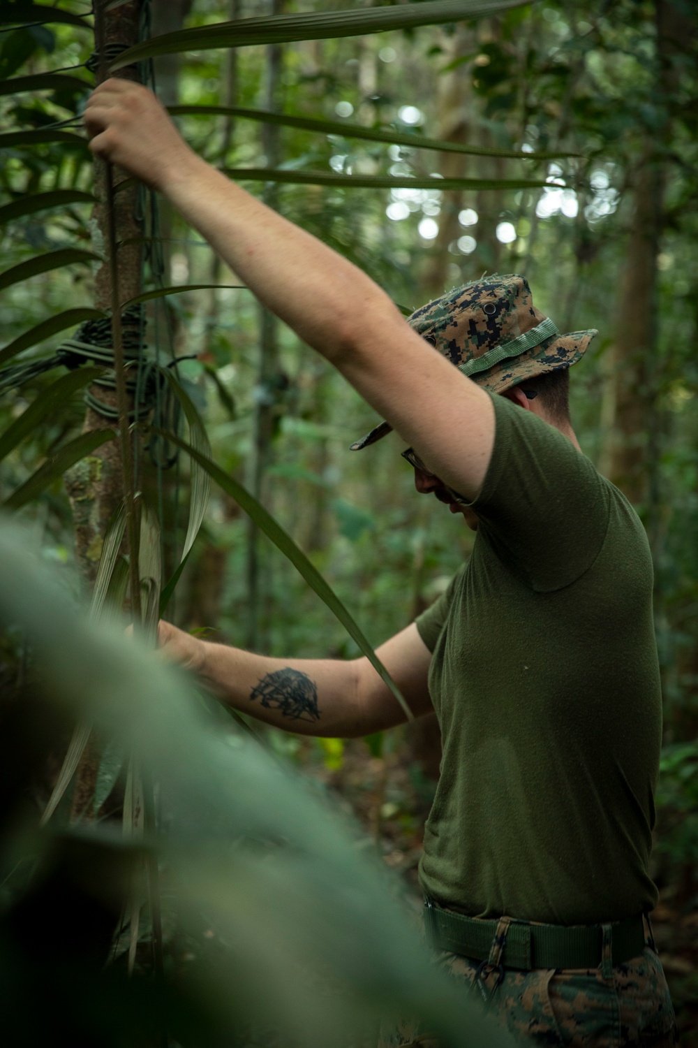 2/2 Marines Conduct Jungle Training in Brazil