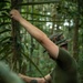 2/2 Marines Conduct Jungle Training in Brazil