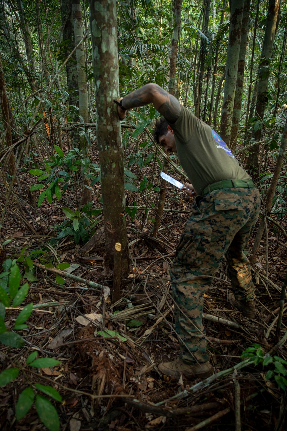 2/2 Marines Conduct Jungle Training in Brazil