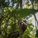 2/2 Marines Conduct Jungle Training in Brazil