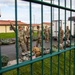 TF Nighthawk Soldiers arrive in Germany