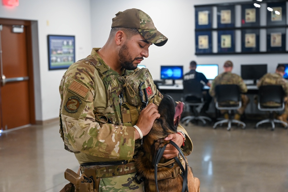 56th SFS Airman and his K-9 partner