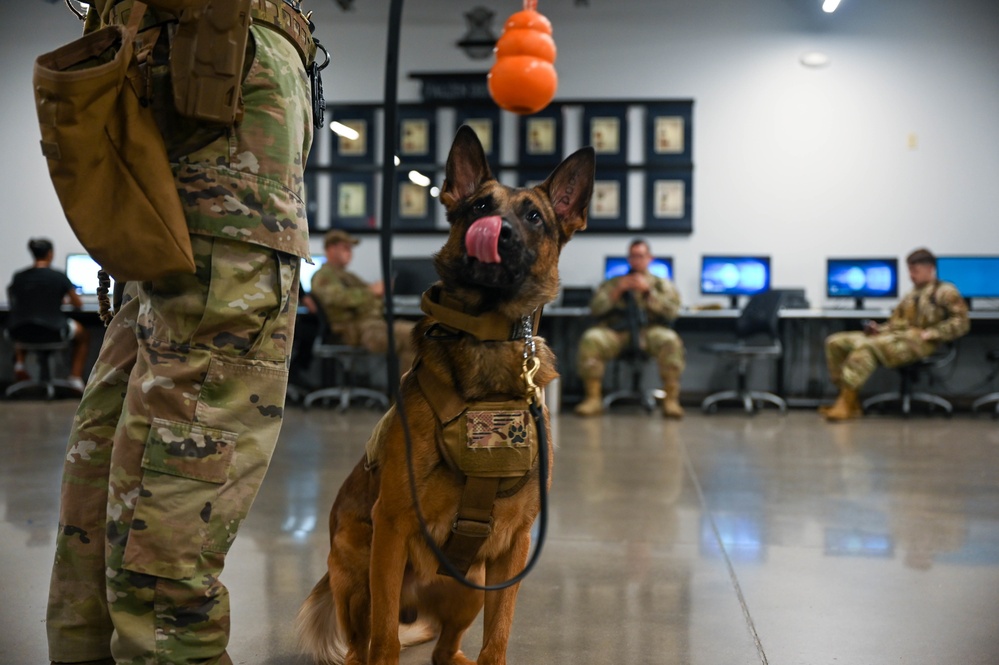 56th SFS Airman and his K-9 partner