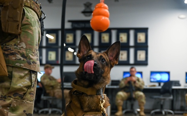 56th SFS Airman and his K-9 partner