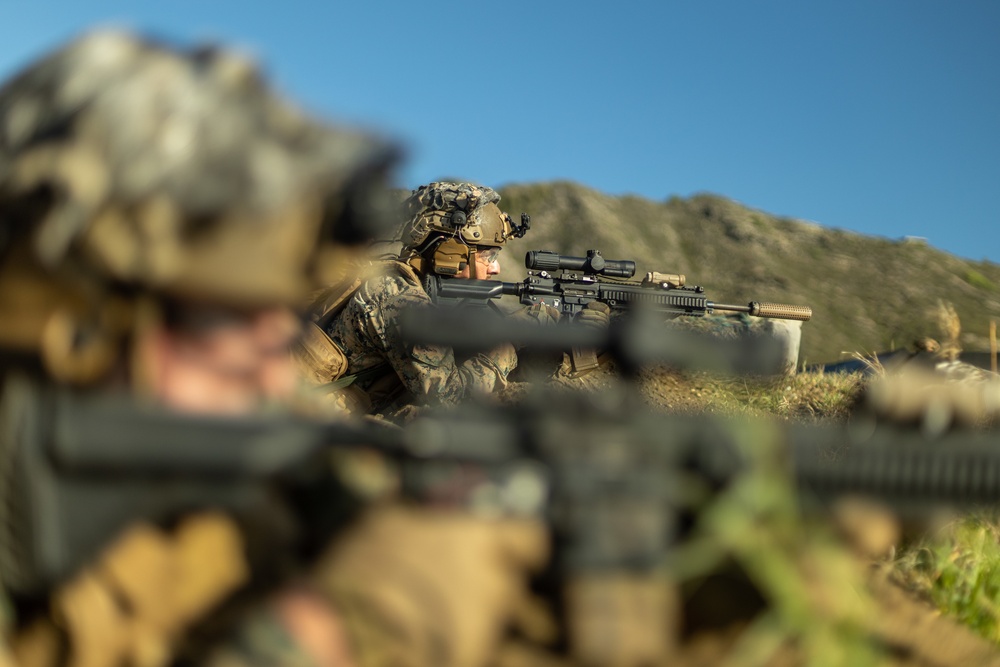 3d LCT live-fire training