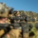 3d LCT live-fire training