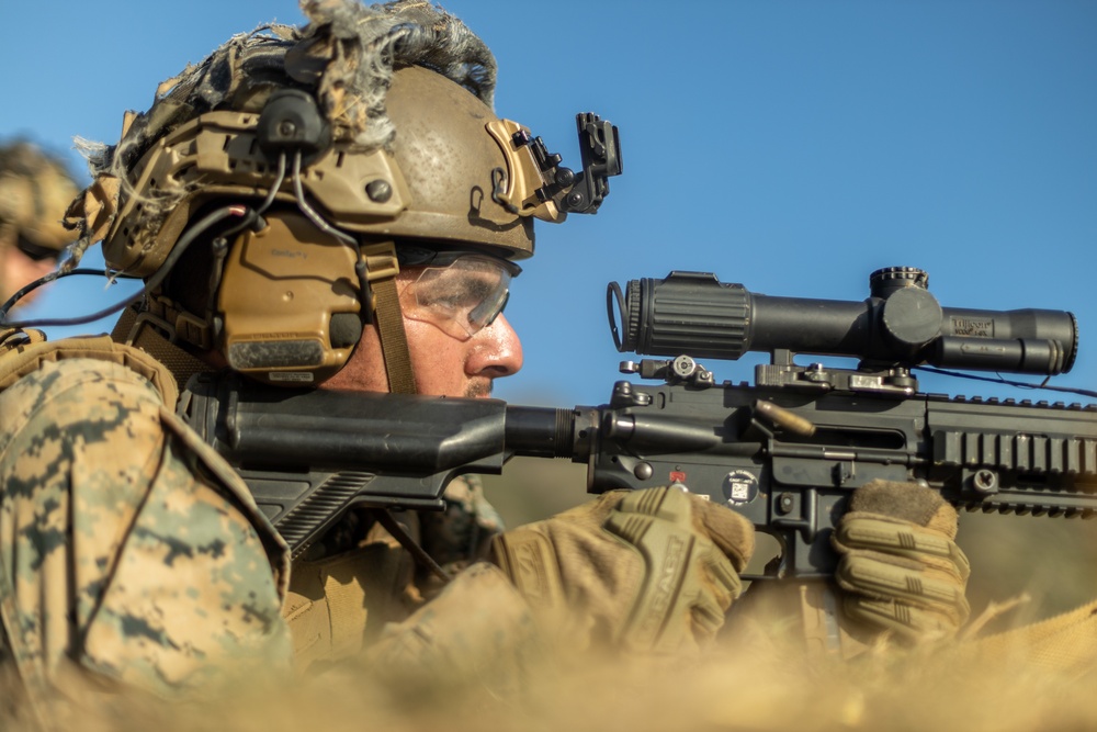 3d LCT live-fire training