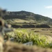 3d LCT live-fire training